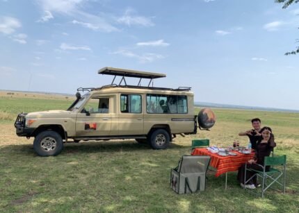 4 Days Fly in, Fly out Luxury Safari - Zanzibar to Serengeti & Ngorongoro