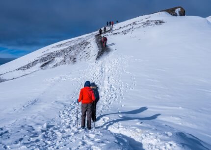 7 Days Kilimanjaro Rongai Route Itinerary